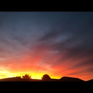 Meet your Posher, Ann